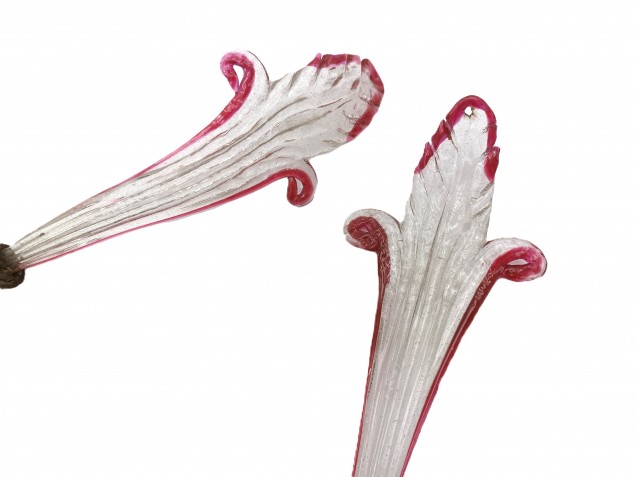 Venetian Chandelier parts 2 glass crook Leaves clear and red 