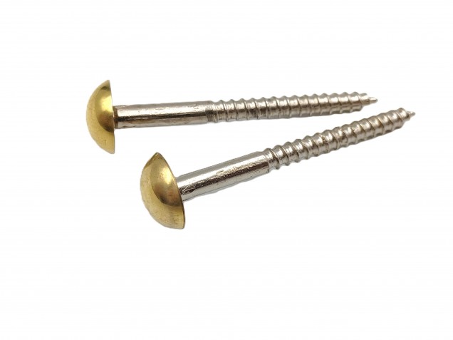 2 inch screws with dome caps in brass 13mm head