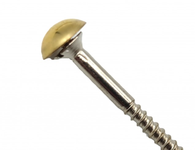 2 inch screws with dome caps in brass 13mm head