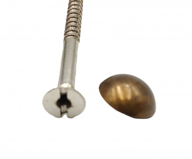 2 inch screws with dome caps in antique brass 13mm head