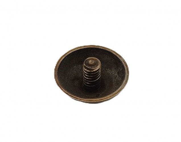 2 inch screws with dome caps in antique brass 13mm head