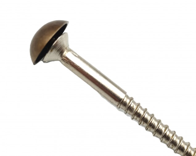 2 inch screws with dome caps in antique brass 13mm head