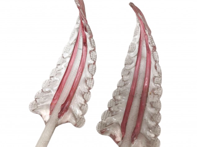 2 Murano chandelier Leaves clear glass with red centre stem