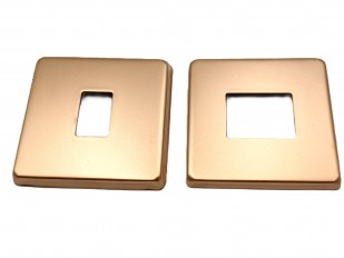 Antique gold Light Switch Cover Plate Conversion 